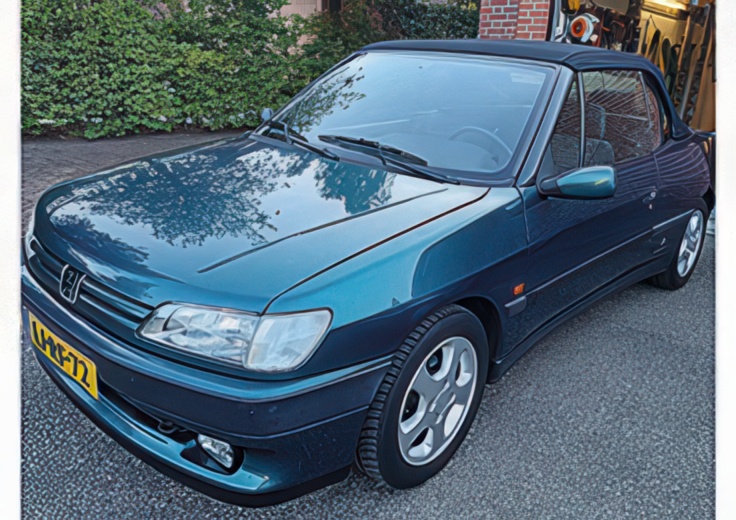 Peugeot 309 Cabrio