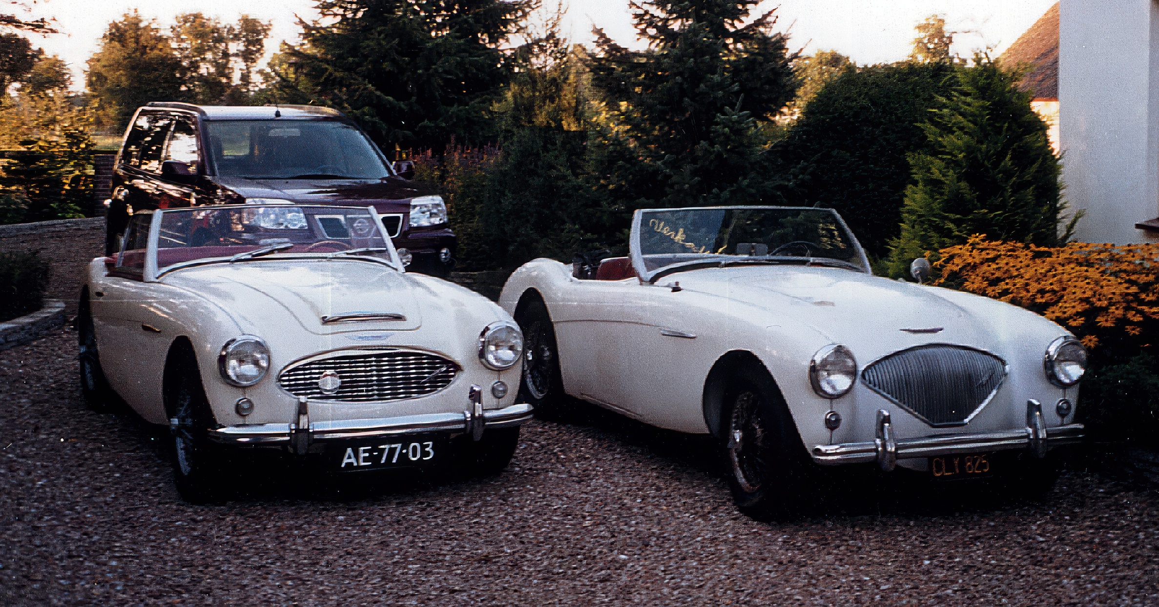 Onderdelen: Austin-Healey
