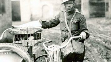 Eerste wereld oorlog, motor ordonans