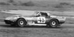 CORVETTE C3 48 JOHN GREENWOOD