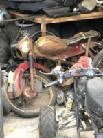 Vondst Batavus, Whippet