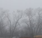 2016 begint met 50 tinten grijs