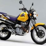 Honda Vigor 650