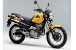 Honda Vigor 650