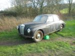 MG Magnette