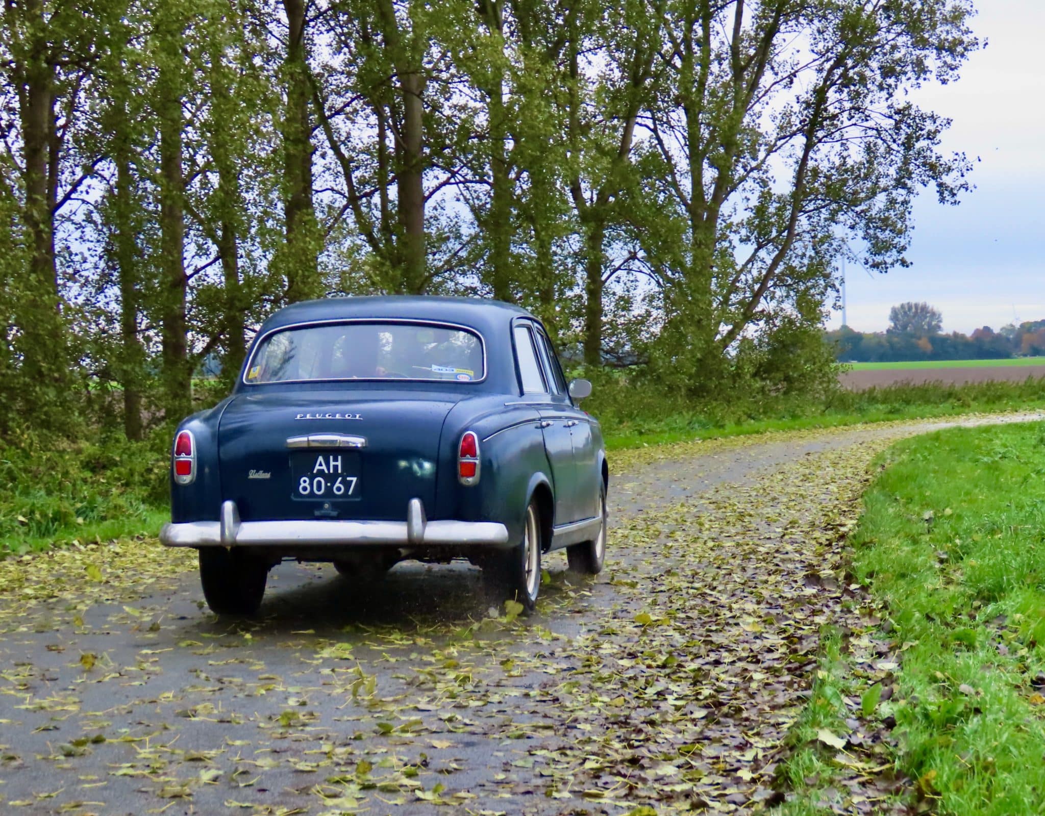 Association Peugeot Hollande. De seizoenafsluiter in de polder