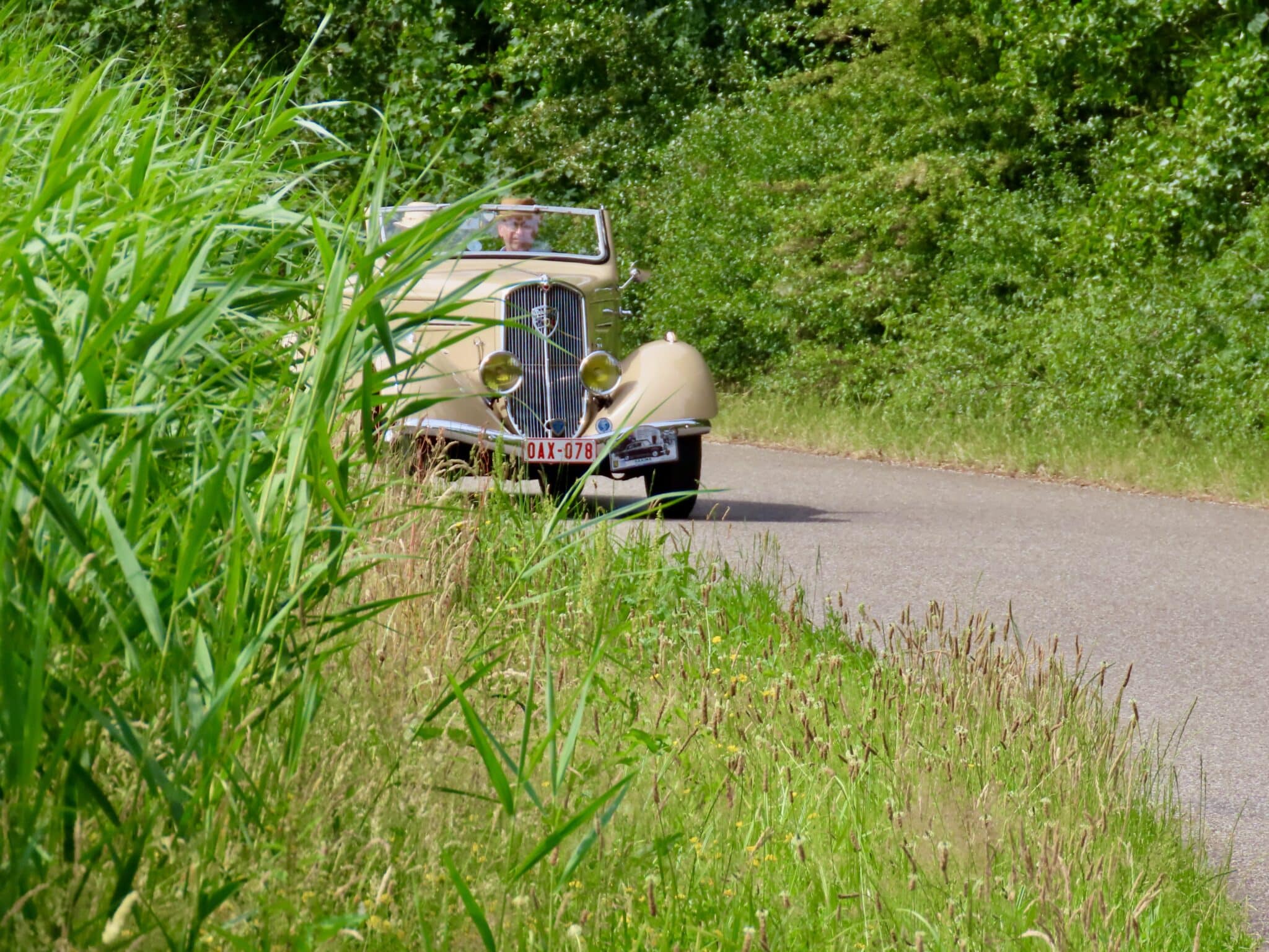 IAPM 2025 Marknesse. Klassieke en bijzondere Peugeots in de polder en de Weerribben