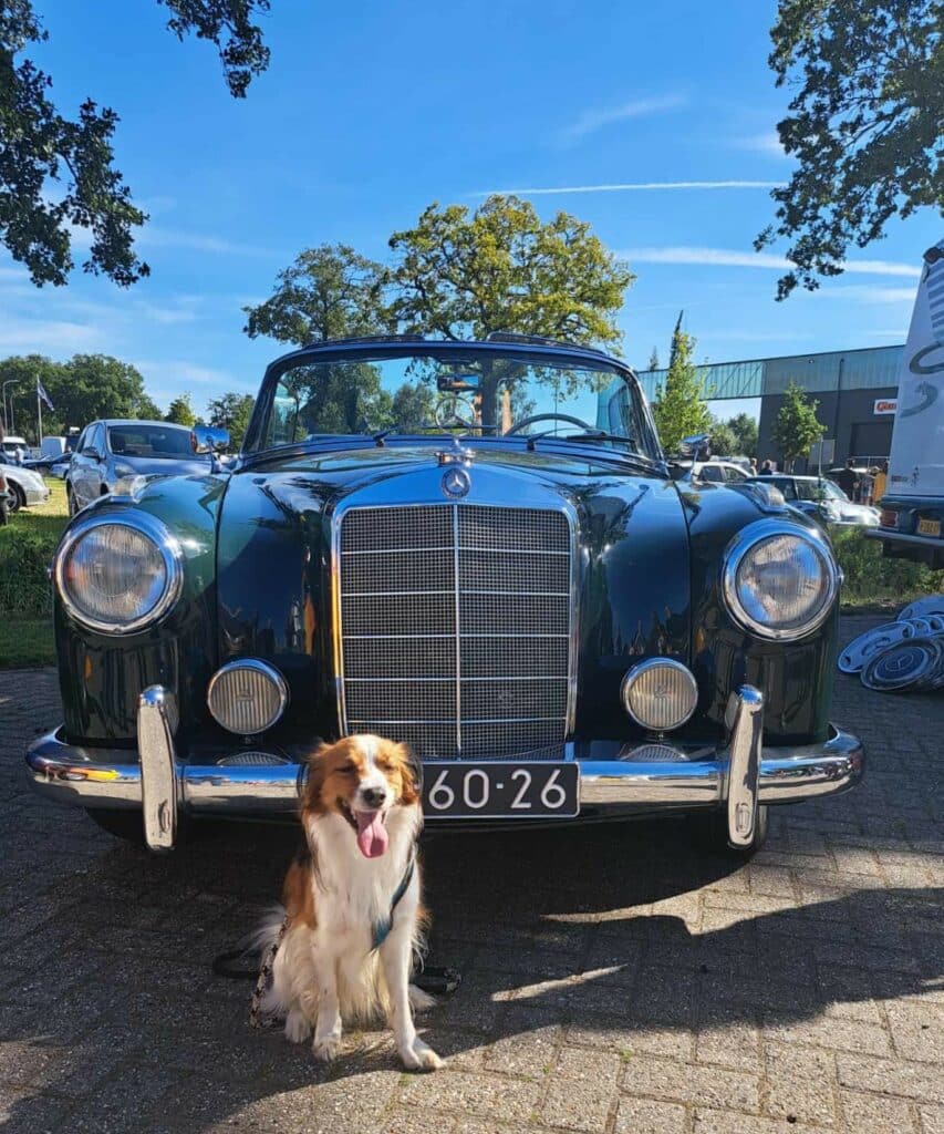 Star Cars and Coffee 2025. Sterren aan de blauwe hemel