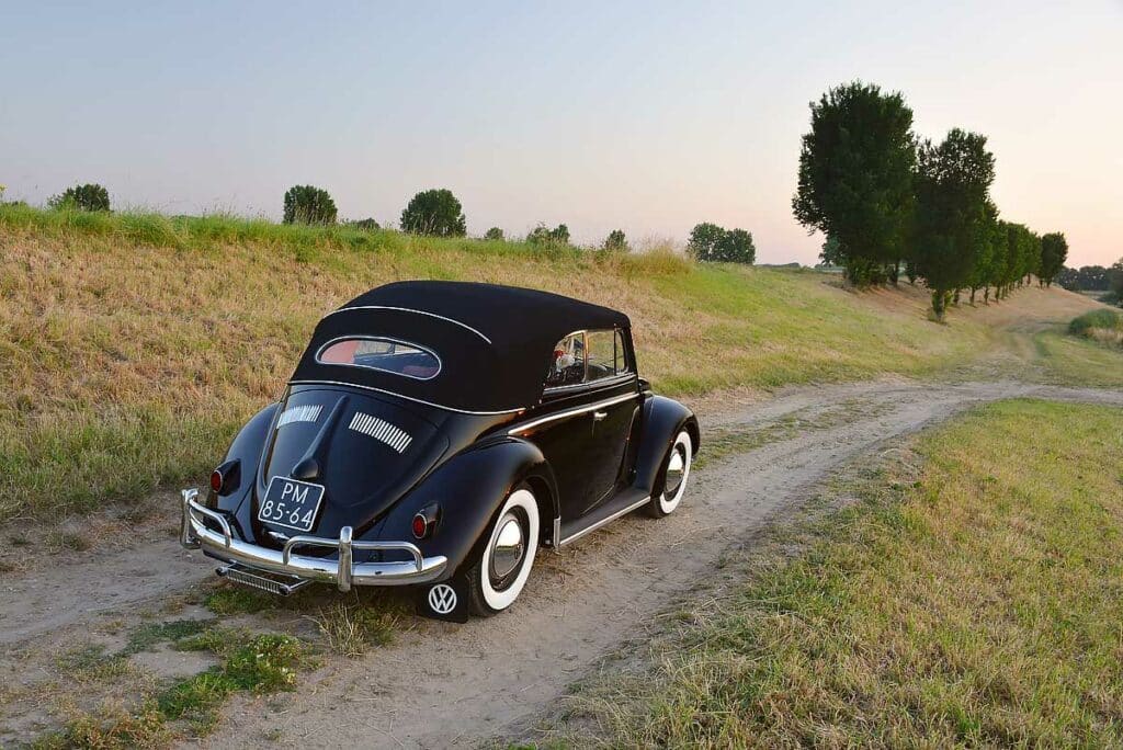 Volkswagen 1200 Karmann Cabriolet. Lang in een weiland vertoeven blijkt toch niet optimaal
