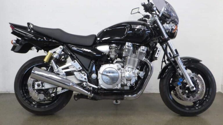 De laatste der Mohikanen