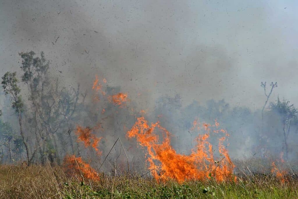 Nog maar een keertje: Brand !!!