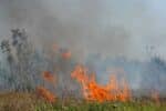 Nog maar een keertje: Brand !!!