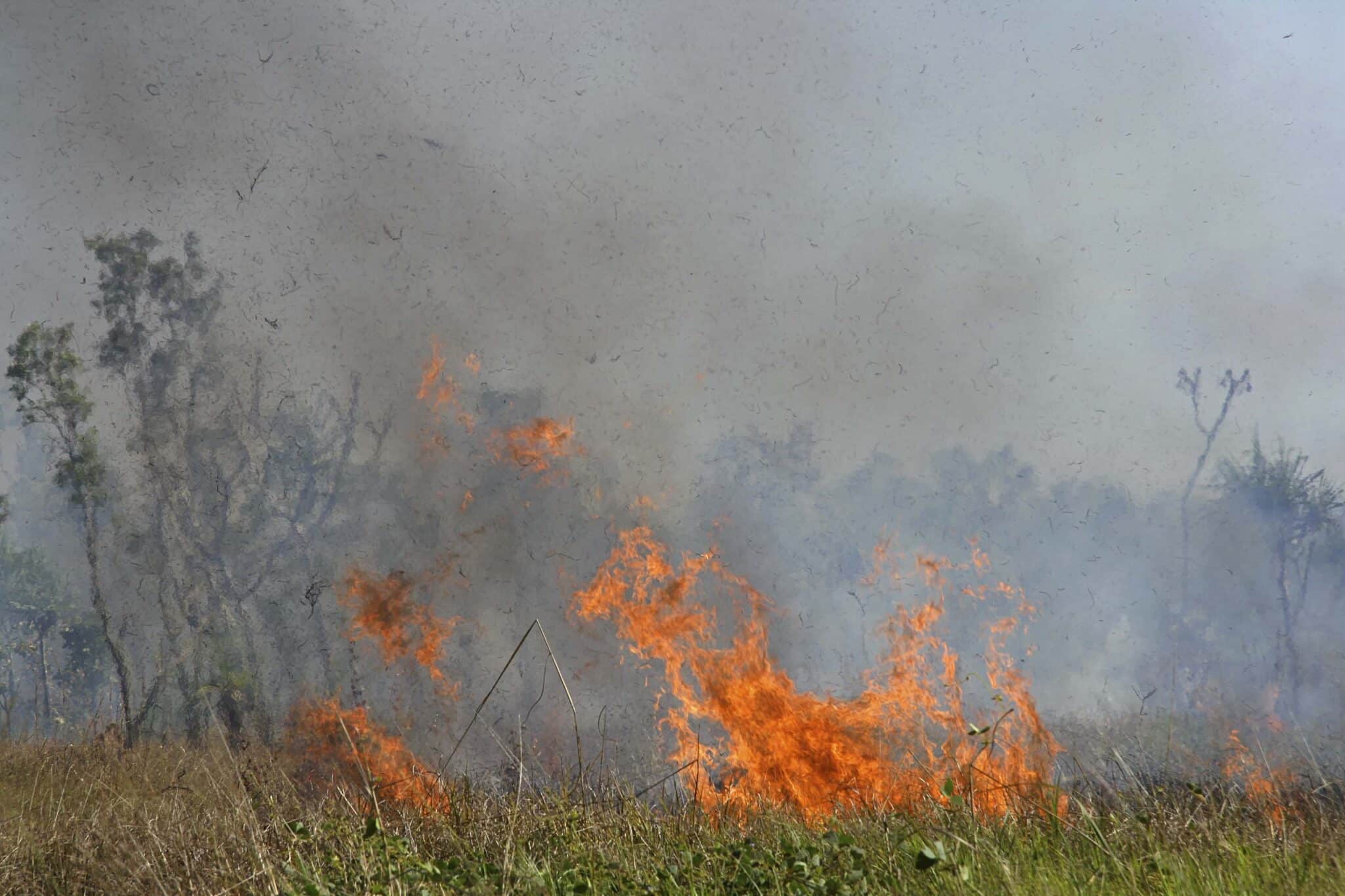 Nog maar een keertje: Brand !!!