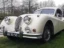 Jaguar XK140 DHC