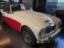 Austin Healey 100/6