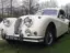 Jaguar XK140 DHC
