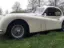 Jaguar XK140 DHC